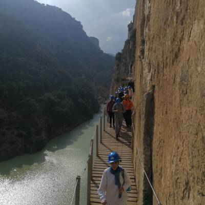 Camino 5 400