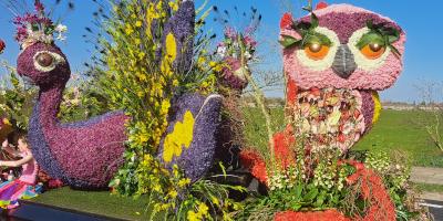 ruigenhoek blog bollenstreek bloemencorso