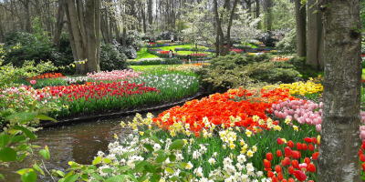 ruigenhoek blog bollenstreek keukenhof1